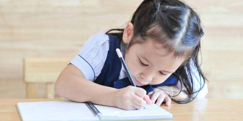 Menulis Teks Deskripsi, Kemampuan Dasar Menulis Siswa di Indonesia